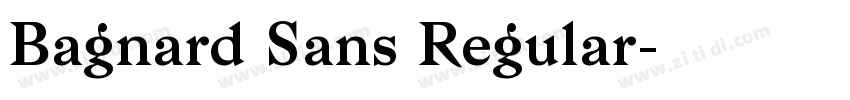 Bagnard Sans Regular字体转换